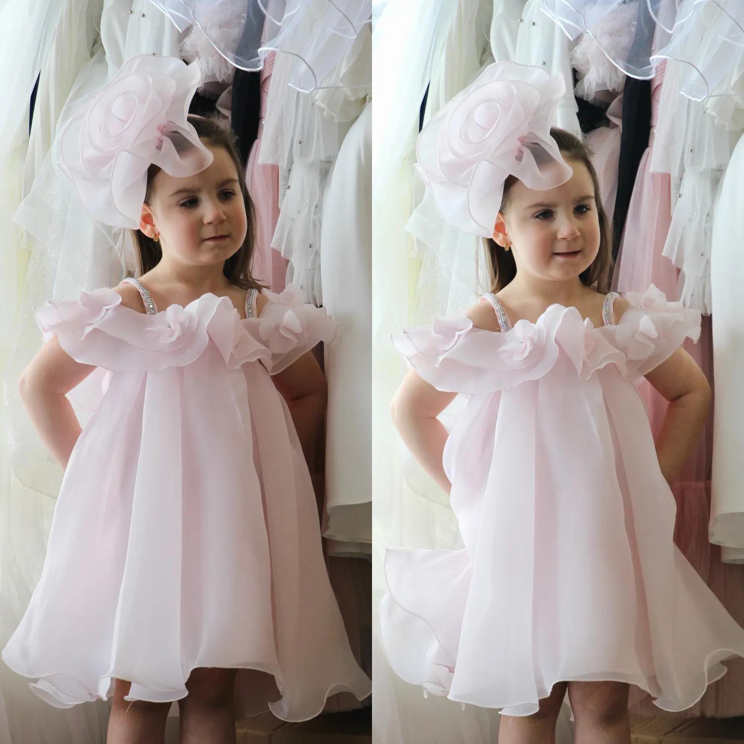 Organza Ophelia European Dress